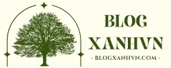 blogxanhvn.com